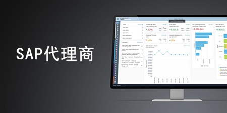 SAP代理商