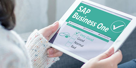 哲訊SAP Business One二次開(kāi)發(fā)：解鎖潛力，實(shí)現(xiàn)定制化需求